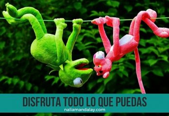 51 deberes verano profesor italiano cesare cata