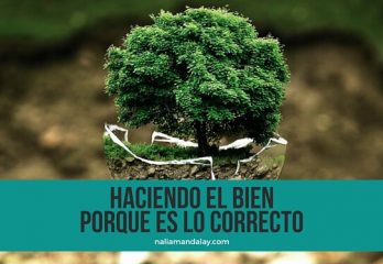 29 los 10 mandamientos paradójicos