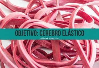 3 neuroplasticidad y 5 ejercicios