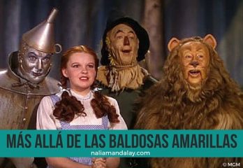 55 lecciones de el mago de oz