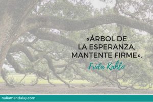 12-citas-frida-kahlo-árbol-de-la-esperanza