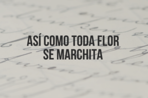 44-el-juego-de-los-abalorios-hesse-esclaones-peldanos